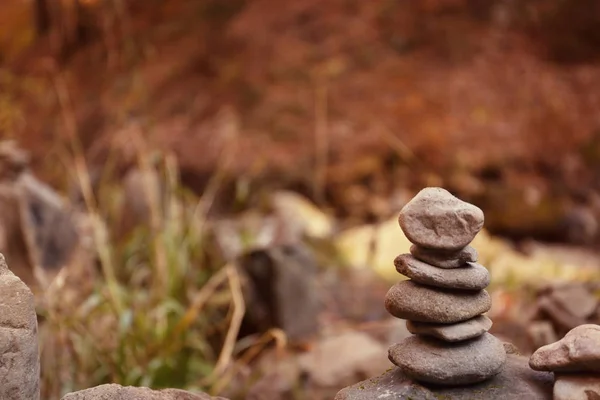 Stack Pietre Nella Foresta Spazio Testo — Foto Stock