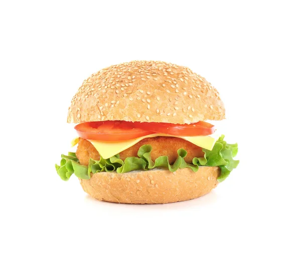 白い背景の上のチーズとおいしい自家製ハンバーガー — ストック写真