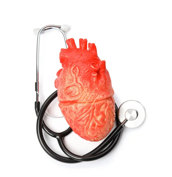 Modelo Corazón Estetoscopio Sobre Fondo Blanco Vista Superior Concepto Cardiología — Foto de Stock