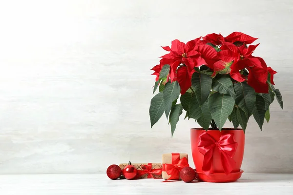 Maceta Con Poinsettia Flor Tradicional Navidad Cajas Regalo Sobre Mesa —  Fotos de Stock