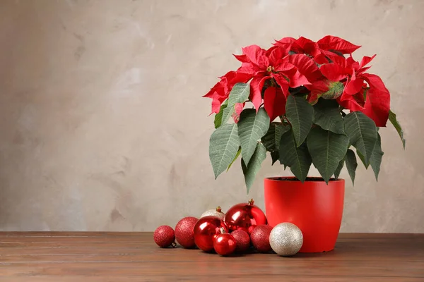Maceta Con Poinsettia Flor Tradicional Navidad Decoración Sobre Mesa Sobre —  Fotos de Stock