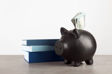 Dolar ve beyaz arka plan karşı masada kitaplar ile Piggy banka