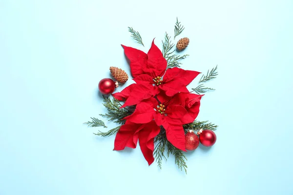 Composición Plana Con Poinsettia Sobre Fondo Color Flor Tradicional Navidad — Foto de Stock