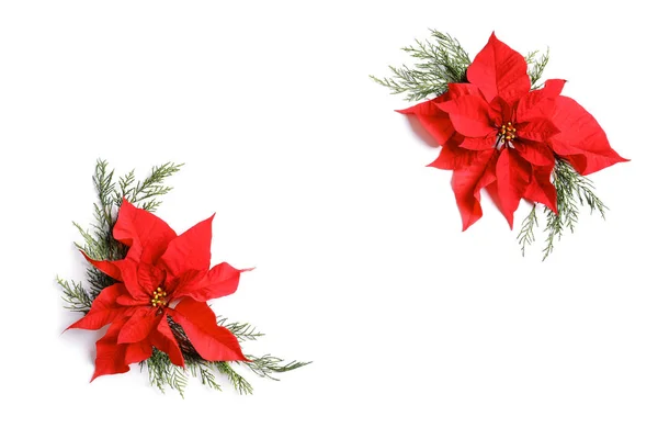 Composizione Flat Lay Con Poinsettia Spazio Testo Sfondo Bianco Fiore — Foto Stock