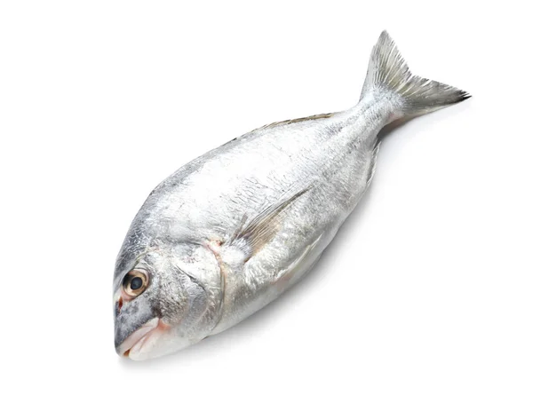 Peixe Cru Sobre Fundo Branco Alimentos Naturais Ricos Proteínas — Fotografia de Stock