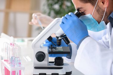 Laboratuar mikroskobu ile çalışan erkek bilim adamı. Araştırma ve analiz