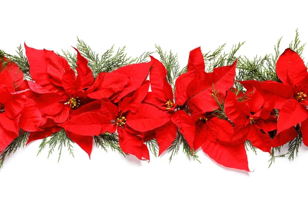 Composición Plana Con Poinsettia Sobre Fondo Blanco Flor Tradicional Navidad —  Fotos de Stock