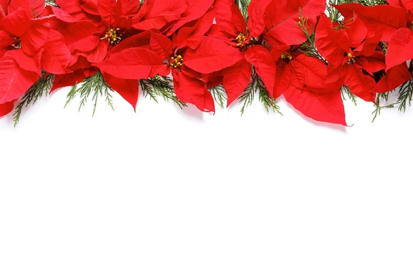 Mieszkanie Świeckich Skład Poinsettia Miejsca Tekst Białym Tle Tradycyjny Świąteczny — Zdjęcie stockowe