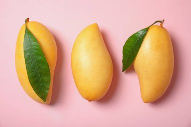 Mango meyve renk arka plan üzerinde düz yatıyordu kompozisyon