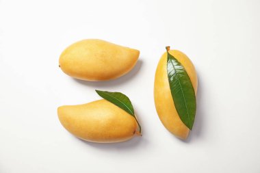 Beyaz arka planda, üstten görünüm taze mango meyve ile kompozisyon