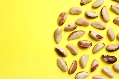 Brezilya fıstığı ve renk arka plan üzerinde metin için yer düz yatıyordu kompozisyonu