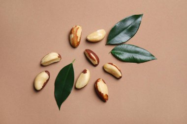 Renk arka plan üzerinde Brezilya fıstığı ile düz yatıyordu kompozisyon