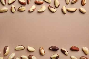 Brezilya fıstığı ve renk arka plan üzerinde metin için yer düz yatıyordu kompozisyonu