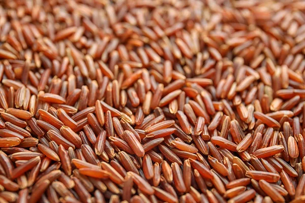 以成堆未煮熟的红米为背景 特写镜头 — 图库照片