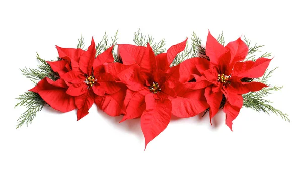 Plat Lag Samenstelling Met Poinsettia Witte Achtergrond Traditionele Kerst Bloem — Stockfoto