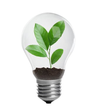 Fide beyaz zemin üzerine ışık lamba. Yeşil teknoloji kavramı