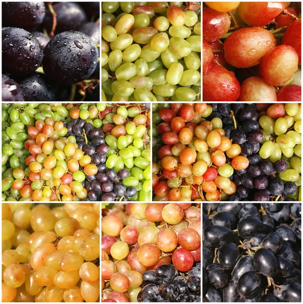 Conjunto Com Diferentes Tipos Uvas Como Fundo — Fotografia de Stock