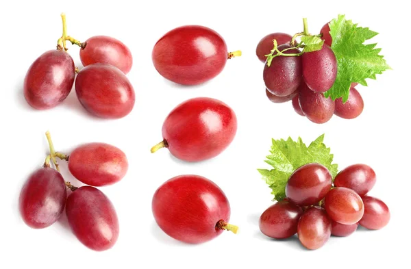 Conjunto Com Uvas Frescas Sobre Fundo Branco — Fotografia de Stock