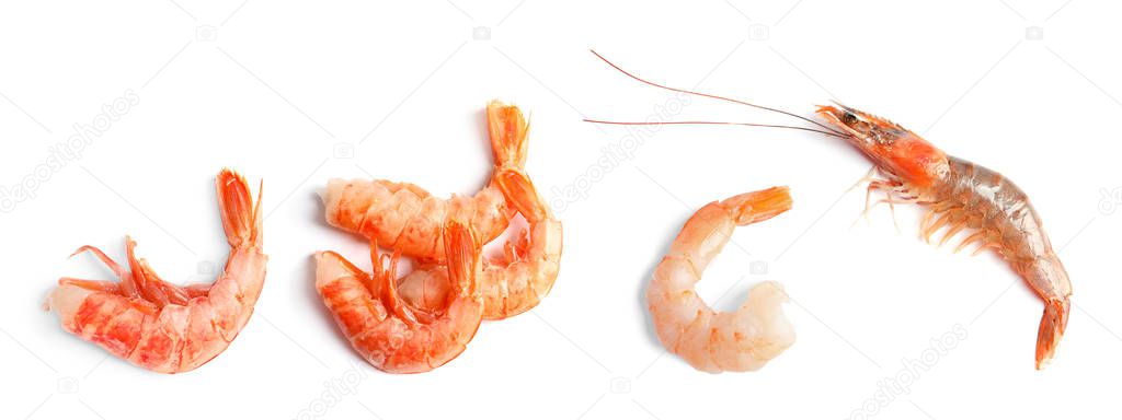 Set of fresh shrimps on white background, top view