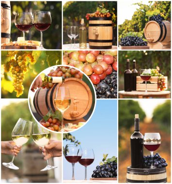 Farklı türde üzüm ve şarap mahzeninde ayarla