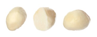 Taze peynir beyaz arka plan üzerinde ayarlayın. Doğal protein yiyecek