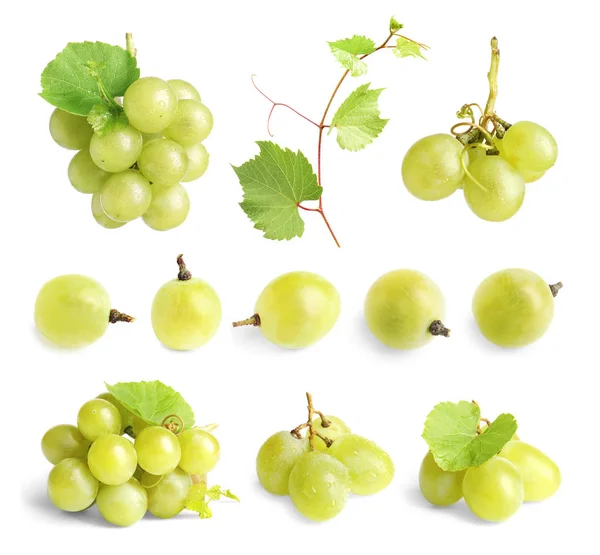 Conjunto Com Uvas Frescas Sobre Fundo Branco — Fotografia de Stock