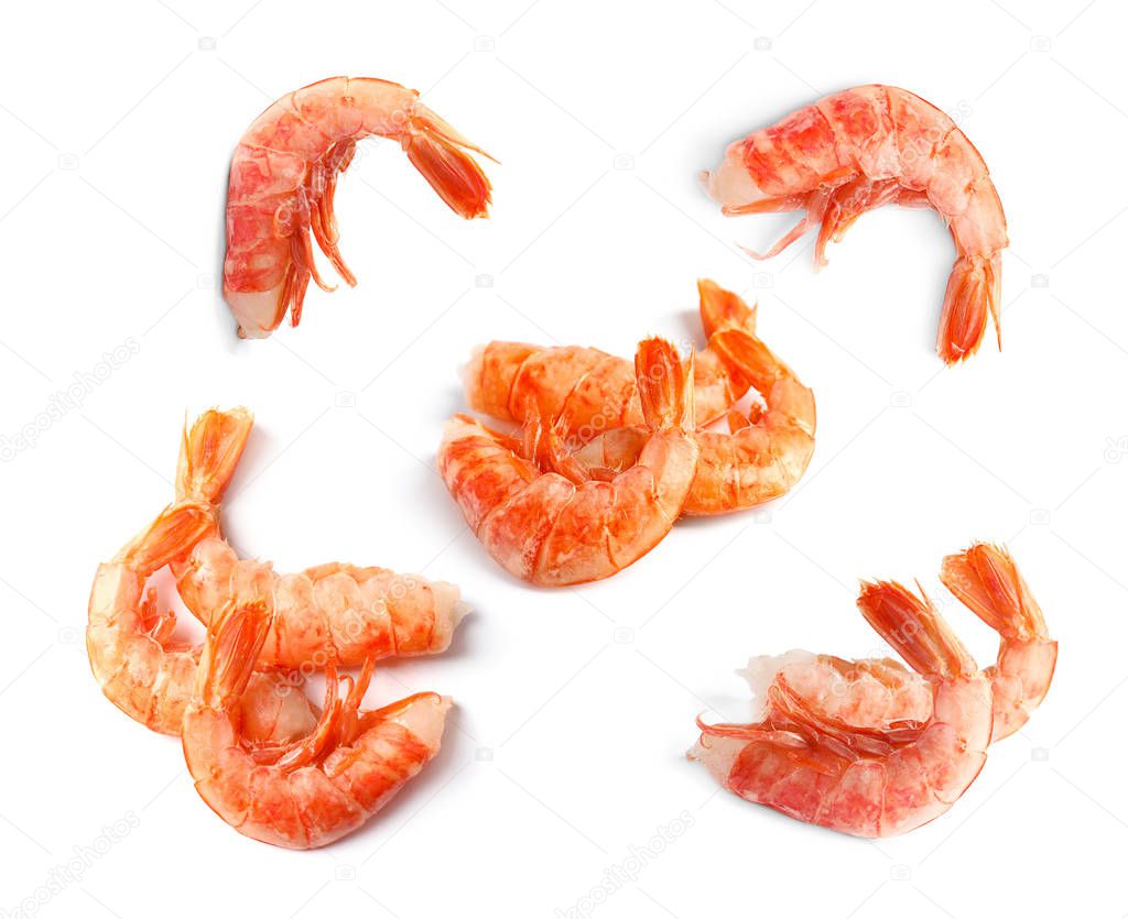 Set of fresh shrimps on white background