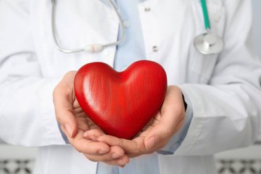 Doktor kırmızı kalbi tutuyor, yakın plan. Kardiyoloji kavramı