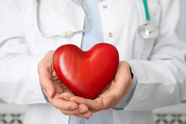 Doctor Sosteniendo Corazón Rojo Cerca Concepto Cardiología —  Fotos de Stock