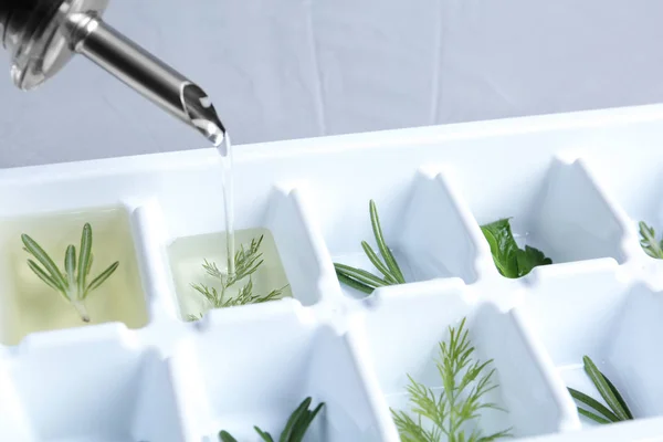 Pouring Oil Ice Cube Tray Herbs Closeup — Stock Photo, Image