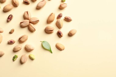 Düz renkli arka plan üzerinde Organik fıstık fındık ile kompozisyon yatıyordu. Metin için yer