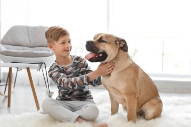 Sevimli küçük çocuk evde köpeğiyle