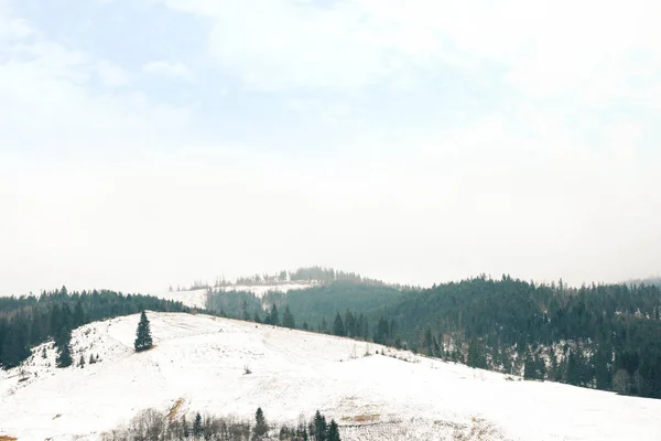 Wunderschöne Winterlandschaft Mit Wald Auf Verschneiten Hügeln — Stockfoto