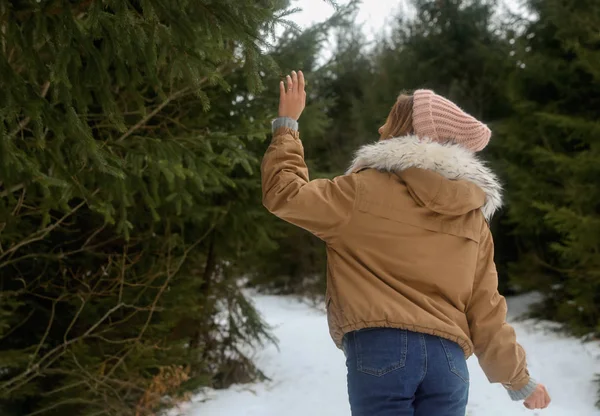 年轻的女人触摸冷杉树枝在雪林 — 图库照片