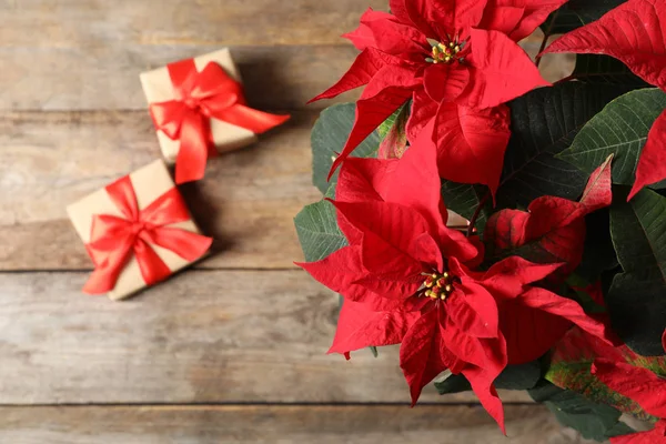 Poinsettia Fiore Tradizionale Natale Con Scatole Regalo Tavolo Legno Vista — Foto Stock