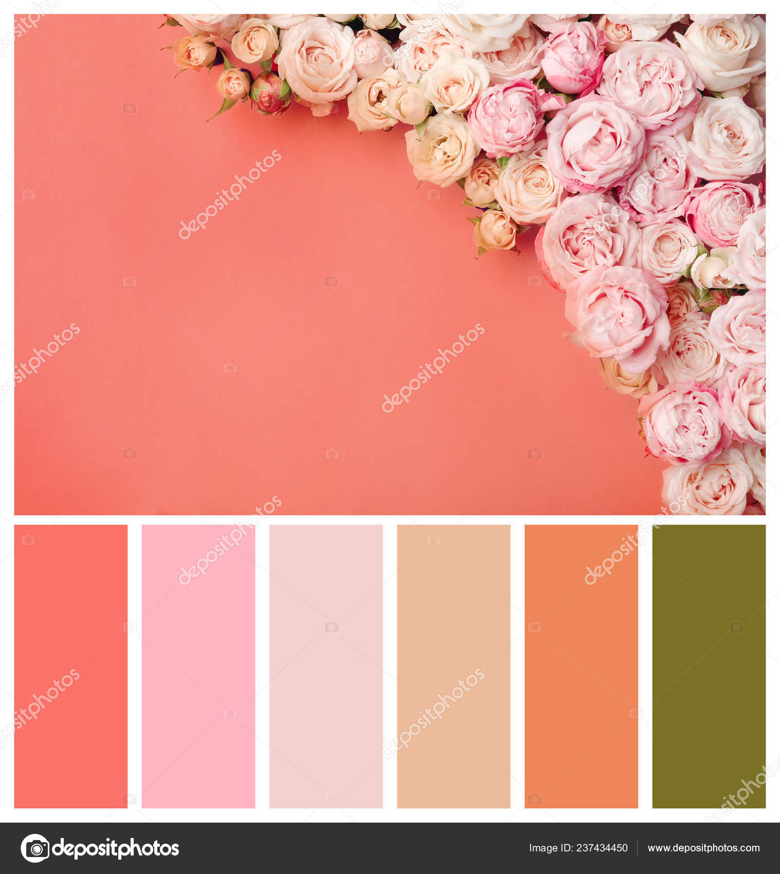 Belles Fleurs Roses Espace Pour Texte Sur Table Position Plate — Photo de  stock par ©NewAfrica - 237434450, image size:1517x1700