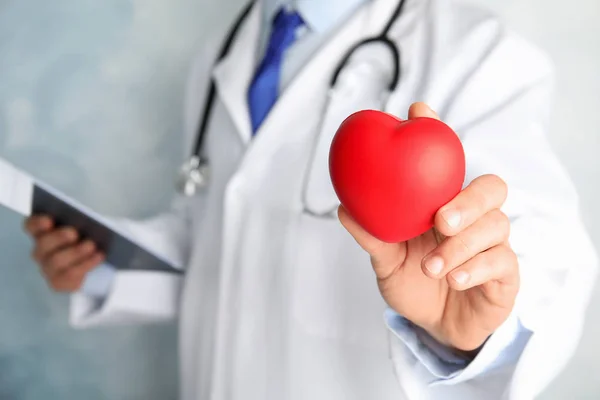 Doctor Holding Red Heart Closeup View Space Text Cardiology Concept — Stock Photo, Image