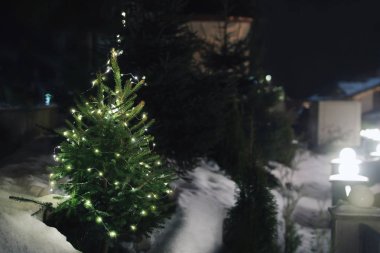 Güzel kozalaklı ağaç Noel ışıkları karda drift metin için sokak, yer üzerinde. Kış tatili