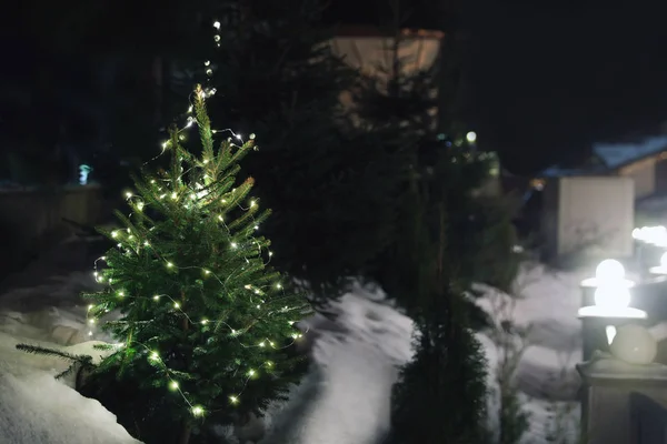 Hermoso Árbol Coníferas Con Luces Navidad Nieve Deriva Calle Espacio —  Fotos de Stock