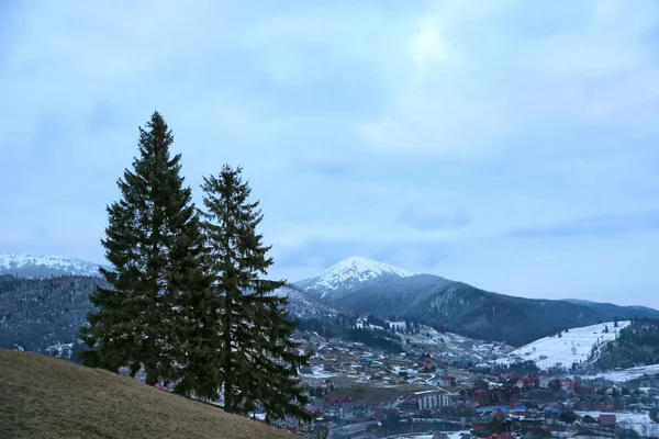 Abeto Cerca Pueblo Montaña Cubierto Nieve —  Fotos de Stock