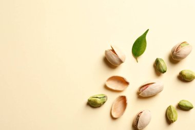 Düz renkli arka plan üzerinde Organik fıstık fındık ile kompozisyon yatıyordu. Metin için yer