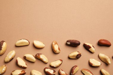 Brezilya fıstığı ve renk arka plan üzerinde metin için yer düz yatıyordu kompozisyonu