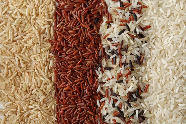 Brown Innych Rodzajów Ryżu Jako Tło Zbliżenie — Zdjęcie stockowe