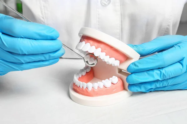 Dentista Mostrando Como Examinar Dentes Com Modelo Educacional Cavidade Oral — Fotografia de Stock