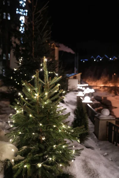 Beautiful Conifer Tree Glowing Christmas Lights Snow Drift Street Winter — Stock Photo, Image