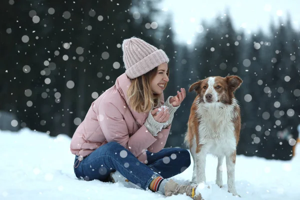森の近くに犬と若い女性 冬の休暇 — ストック写真