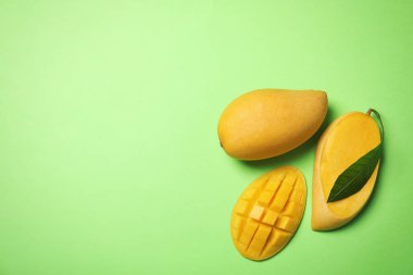 Mango meyve renk arka plan üzerinde ile düz yatıyordu kompozisyon. Metin için yer