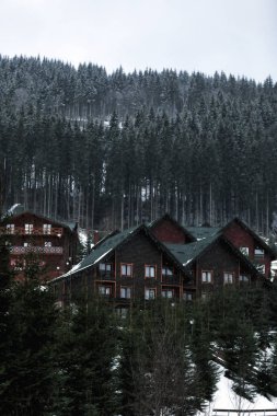 Resort forest yakınındaki güzel manzarasına karlı gün. Kış tatili