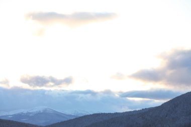 Güzel dağ manzarası ile kışın orman