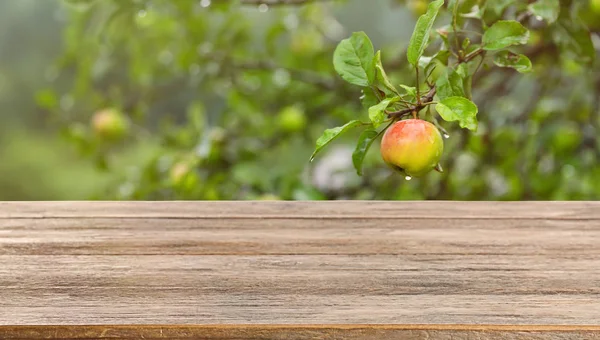 Wooden table and tree with ripe apple on blurred background, space for text. Gardening